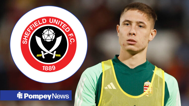 Mark Kosznovszky is wanted by Portsmouth