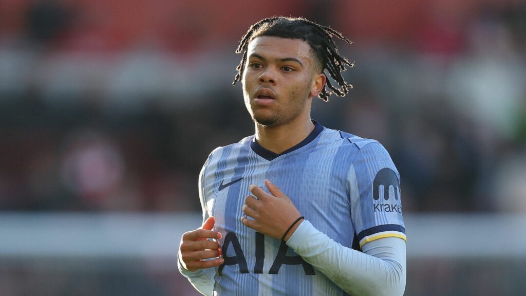Dane Scarlett, Tottenham