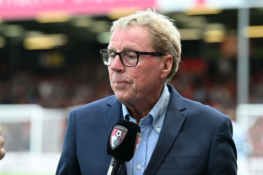 Harry Redknapp as a pundit